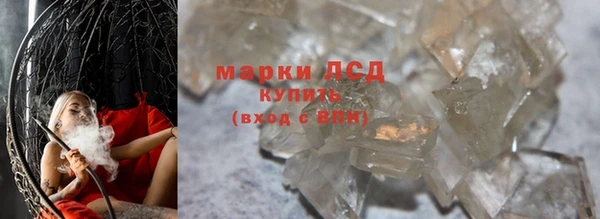 прущие грибы Абдулино