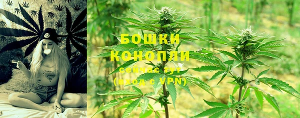 прущие грибы Абдулино