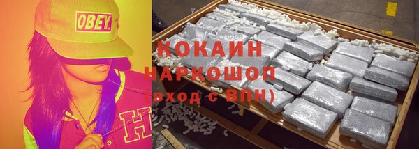 прущие грибы Абдулино