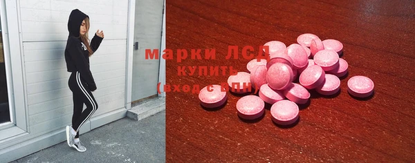 индика Зеленокумск
