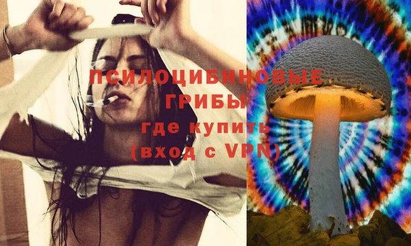 прущая мука Зеленодольск