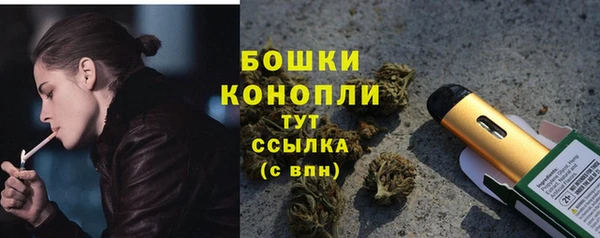 прущий лед Абаза