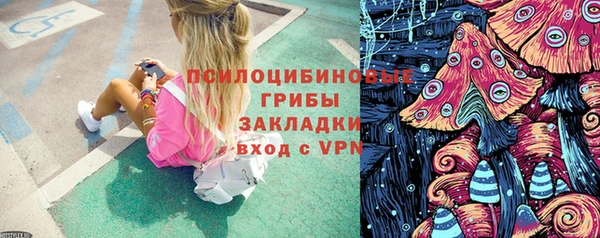 прущий лед Абаза
