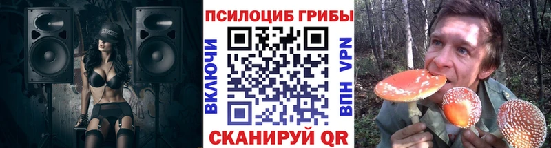 Галлюциногенные грибы ЛСД  Темников 